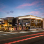 Coopers Hawk-car light trails